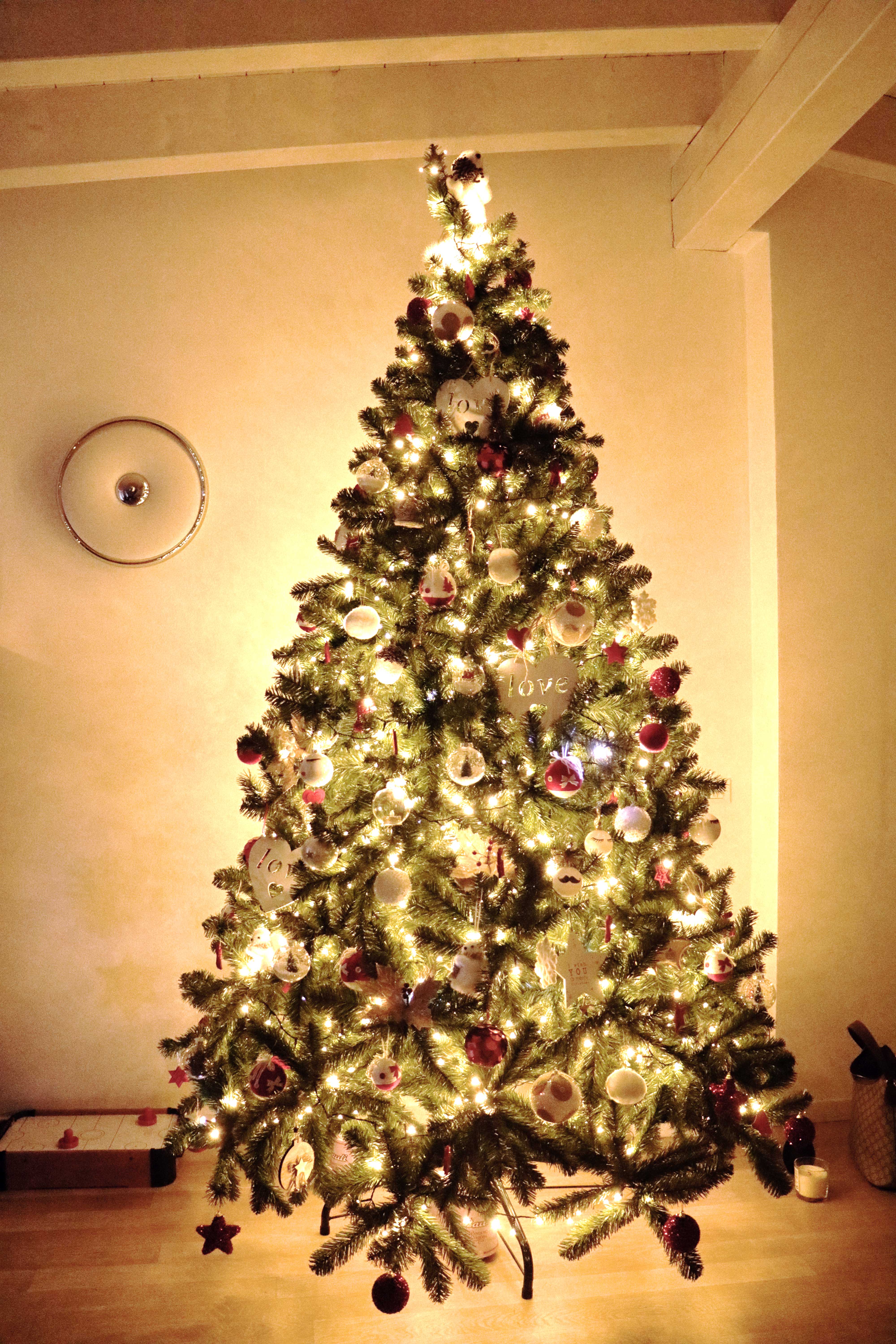 christmas tree-glamobserver